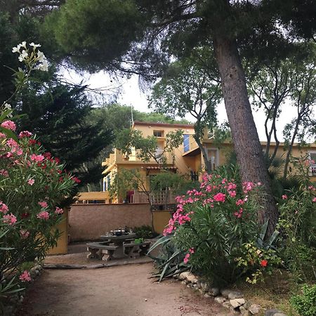 Gites De La Massane Argelès-sur-Mer Exterior foto