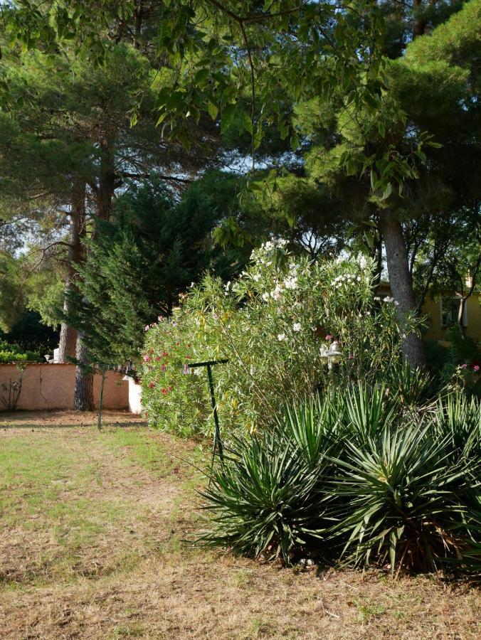 Gites De La Massane Argelès-sur-Mer Exterior foto